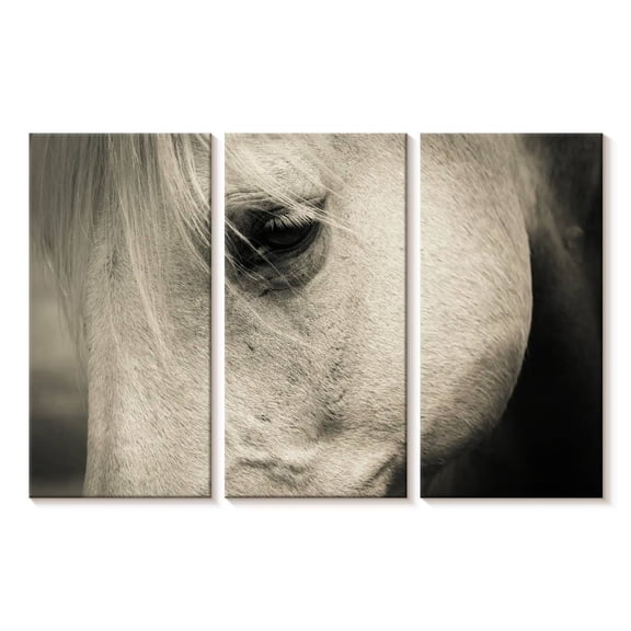 Elephant Stock White Horse Eye Wall Art - Horizontal Multi Panel Canvas - Living Room Wall Decor - Animal Multi Panel - Beige And Gray Decor - 23" x 14"