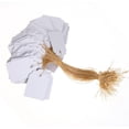 thumbnail image 1 of WIFKLSIIPG 3.6x2.5cm Lot 100PCS Strip Line Garden Label Hanging Tag Mini Signs Hot(White), 1 of 1
