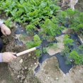 thumbnail image 5 of Hand Mini Garden Hoes Dual Headed Weeding Tool ,pick Axes(3 Prongs), 5 of 5