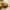 Brown, variant on Rvasteizo Fall Decor, Pumpkin Throw Pillow Cushions Decorative Throw Pillow Sofa Bed Pillow Patio Furniture Cushions Seat Cushion Nap Pillow Car Pillow