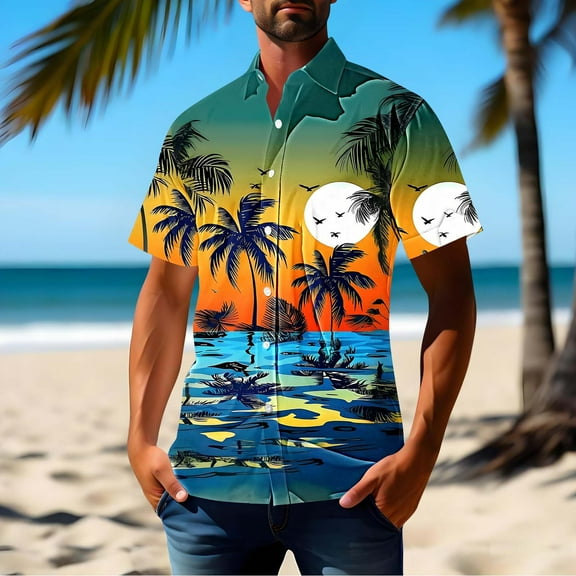 Zylanna Men's Hawaiian Shirts, Turndown Collar Quickly Dry Short Sleeve Casual Summer Beach Button Down Shirts Sky Blue Size M