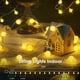 thumbnail image 3 of Cadena de luces LORRYTE, paquete de 2, 16 m, 120 LED, impermeables, 3 of 6
