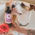 thumbnail image 6 of KIN ORGANICS Fig+Cedar (Oatmeal Itchy Dog Shampoo), 6 of 9