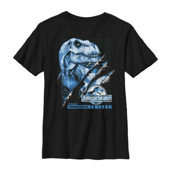 Boy's Jurassic World T. Rex Grid Slash  Graphic Tee Black Large