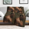 thumbnail image 6 of Cool Alan Ritchson Blanket Ultra Soft Flannel Fleece Blanket Stylish Bedroom Living Room Sofa Warm Blanket All Season Use 40""*50"" （100 * 130cm）, 6 of 6