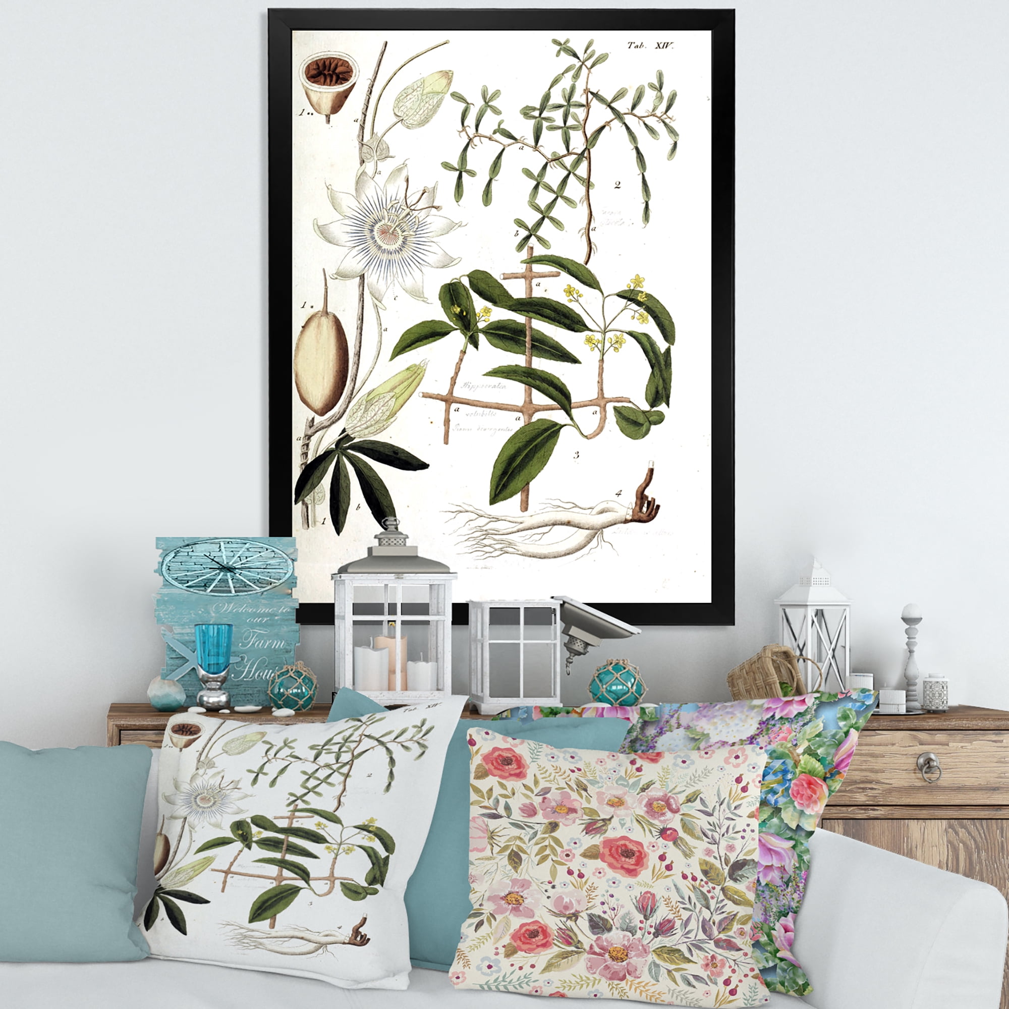 Designart 'Ancient Plant Life IV' Farmhouse Framed Art Print