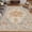 Dove Gray and Coral-3' x 5' (Rectangular), variant on Washable Area Rug 3' X 5 ' Vinttraditional Persian Mat - Foldable Distressed Non-sliphine Carpet For Living Room Bedroom Kitchen Home Decor Ebony And Taupe