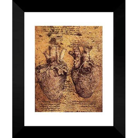 Drawing of the Heart and its Blood Vessels, from the Anatomical Notebooks 20x24 Framed Art Print by Da Vinci, Leonardo