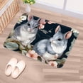 thumbnail image 5 of Animal Polyester Non-Slip Machine Washable Door Mat Floor Mats Office Mat, 5 of 6