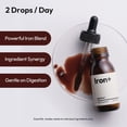 thumbnail image 4 of BIGVITA Iron+ | High Absorption Supplement with Microencapsulated Iron Drops + Folate, B6 & Cranberry Extract | No Metallic Taste, Mixed Berry Flavor, Gentle on Stomach | Energy & Hormonal Support, 4 of 5