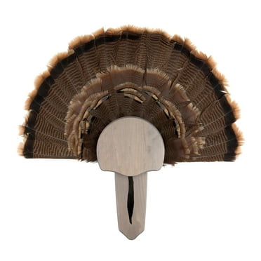 Foggy Bottom Solid Wood Rustic Turkey Mount Kit