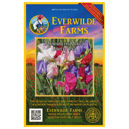 Sweet Pea Wedding Flowers - Everwilde Farms - 50 Mammoth Mixed Sweet Pea Garden Flower Seeds - Gold Vault Jumbo Bulk Seed Packet