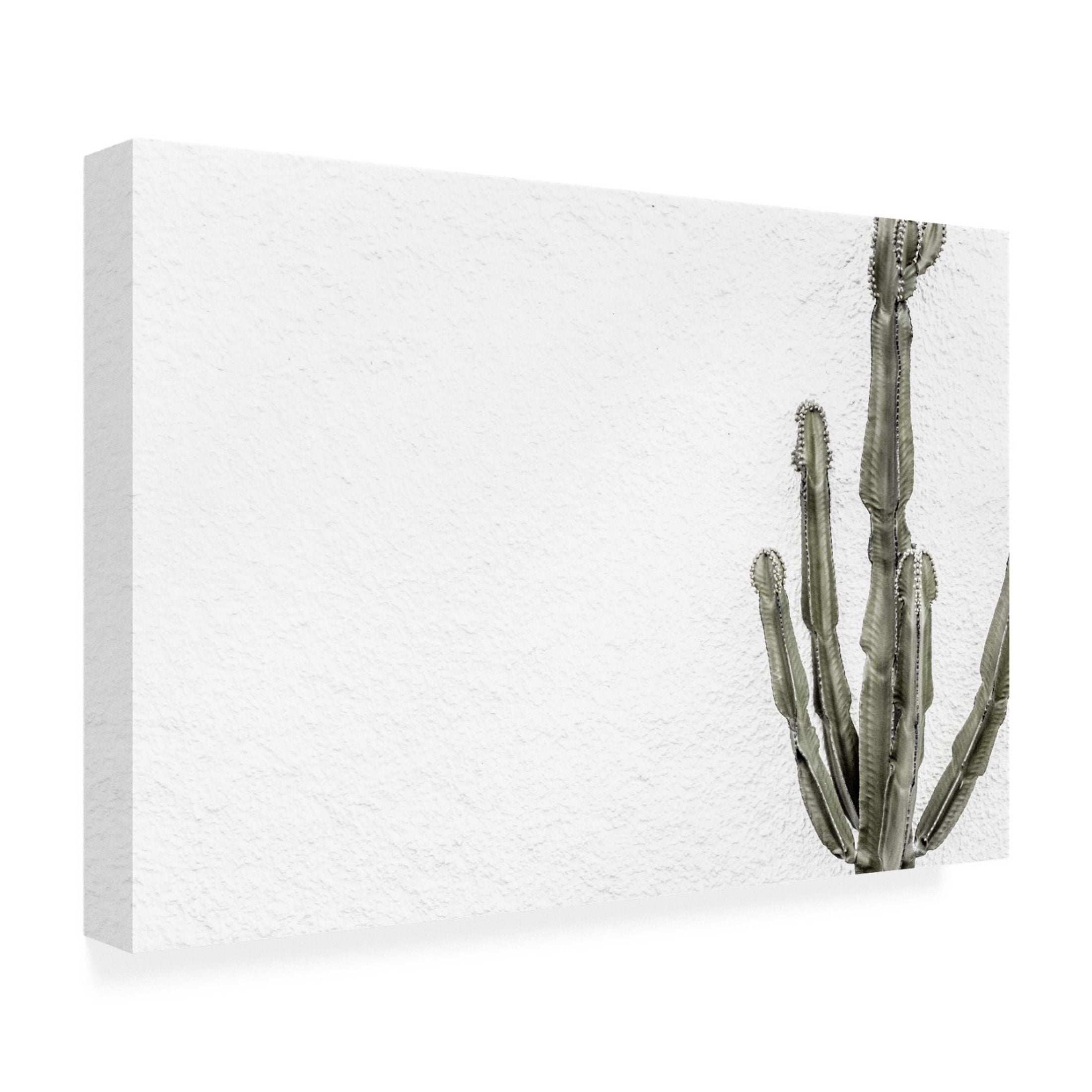 Trademark Fine Art Pictufy Studio III Cactus 4 Canvas Wall Art