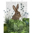 thumbnail image 2 of Fab Funky 12x14 White Modern Wood Framed Museum Art Print Titled - Cabbage Patch Rabbit 2, 2 of 4
