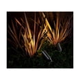 thumbnail image 5 of FX Luminaire MR16ZD35WFL lamp | 5W LED, 2700K, 35 degree flood, 5 of 5