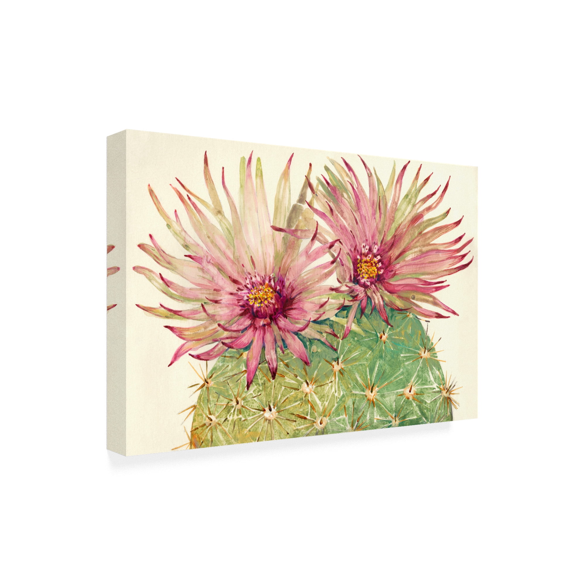 Trademark Fine Art 'Cactus Blossoms I' Canvas Art by Tim OToole