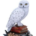 thumbnail image 4 of Harry Potter Hedwig Figurine 8.75" Tall, 4 of 6