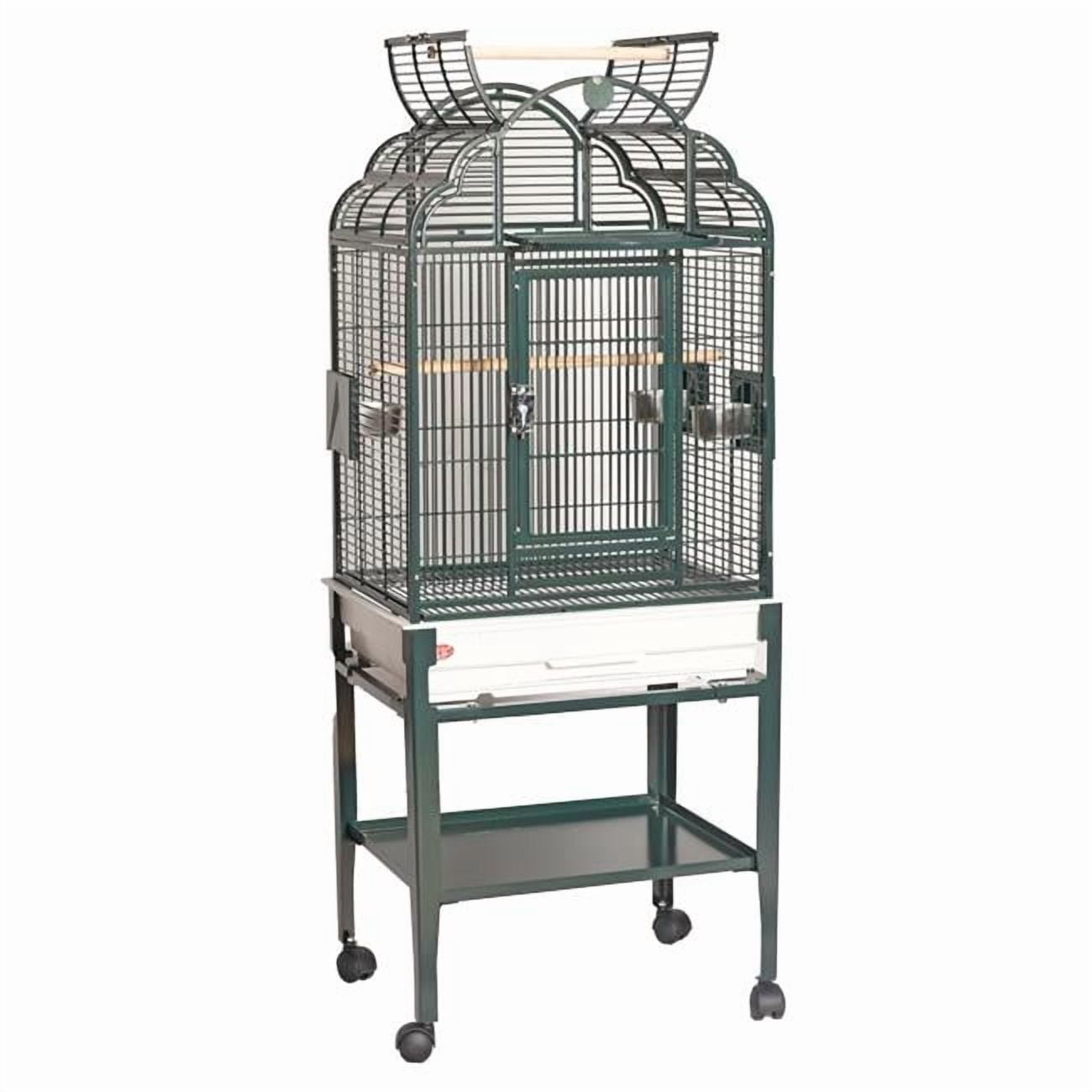 A&E Cage GA92217C HQ Green 22 x 17 in. Open Top Cage with Plastic Base & Drop Down Door, Green