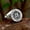 Gemini, variant on Vintage VIRGO Star Sign Symbol Ring Stainless Steel Men Women Virgo Ring Gifts-11-Silver