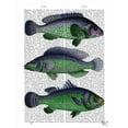 thumbnail image 2 of Fab Funky 26x32 Black Ornate Wood Framed with Double Matting Museum Art Print Titled - Blue and Green Fish Trio, 2 of 4