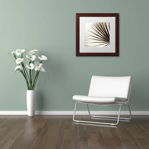 Trademark Fine Art "Florison 66" Canvas Art by Alan Blaustein, White Matte, Wood Frame