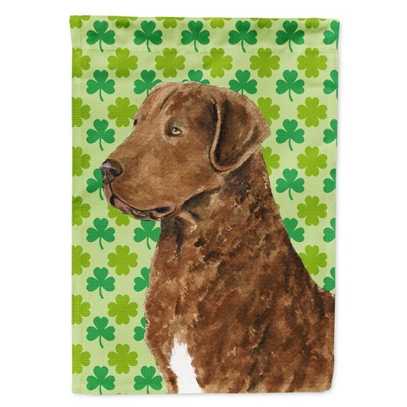 Carolines Treasures SS4462-FLAG-PARENT Chesapeake Bay Retriever St. Patricks Day Shamrock Portrait Flag  multicolor