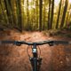 thumbnail image 1 of Puños de manillar de bicicleta de 22,2 mm | Cubierta ergonómica de goma antideslizante | Amortiguación y agarre cómodo para carretera, montaña y bicicletas | Paquete de 2, 1 of 6
