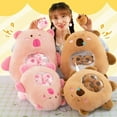 thumbnail image 6 of 30cm Capybara Snack Pillow Doll Plush Toy Kawaii Fashion Plushie Doll Stuffed Animals Soft Doll Kids Toys Gift Pendant Decor, 6 of 11