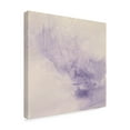 thumbnail image 2 of Trademark Fine Art 'Crinkle Purple' Canvas Art by Chris Paschke, 2 of 3