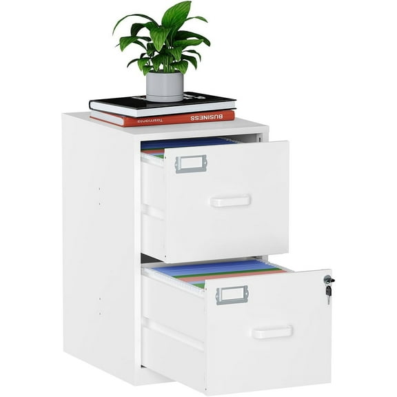 2 Drawer Filing Cabinet with Lock, Metal Vertical File Cabinets for Home Office, Lockable File Storage Cabinets Under Desk, Letter/A4 File Folders Storage（White-Assembly Required