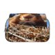 thumbnail image 2 of Disketp Close-Up Curious Squirrel Estuche de Lápices de Doble Capa con Tapa Abatible y Cremallera, Organizador Escolar para Adolescentes y Adultos, 2 of 7