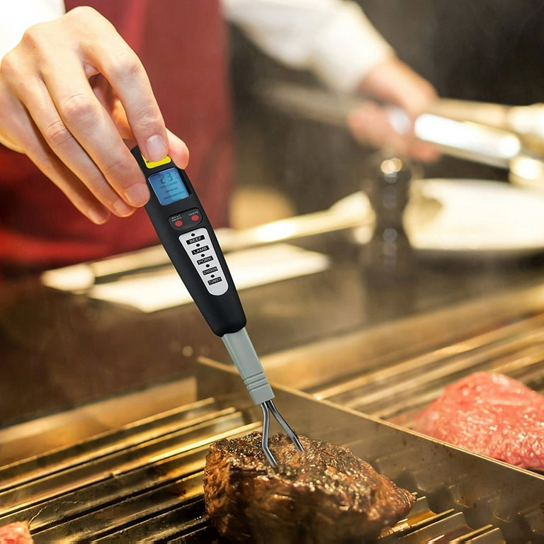Testing the Chef IQ Smart Wireless Meat Thermometer 