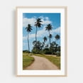 thumbnail image 2 of Path to the Palms - Rincón Puerto Rico Photography Palm Tree Tropical Nature Scenic Summer Landscape Beach House Unframed Wall Art Print 20 x 30 inches, 2 of 60