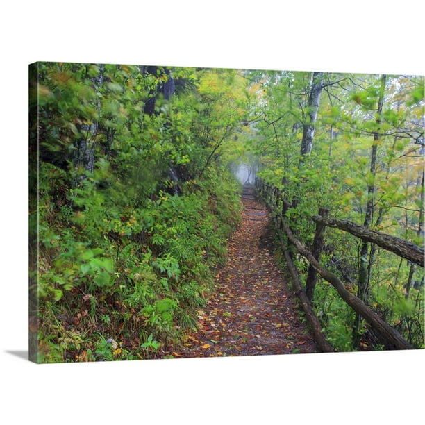 Great BIG Canvas "Appalachian Trail" Canvas Wall Art 24x16