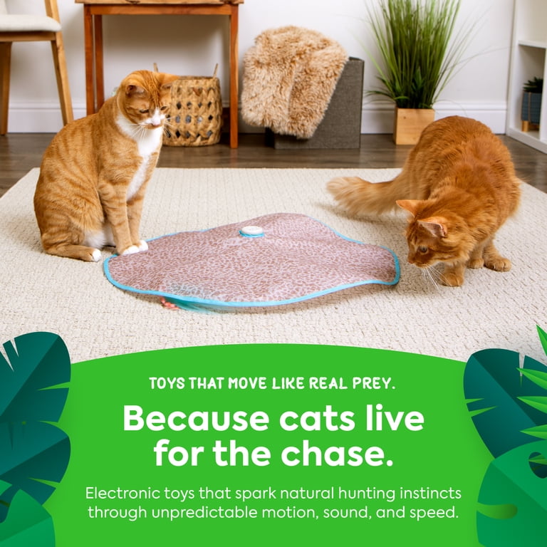 Electronic Motion Teaser Wand Cat Toy photo 5