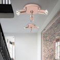 thumbnail image 2 of 15cm220v Spotlight*3 Rose Gold Wrought Iron Lamp, 2 of 4