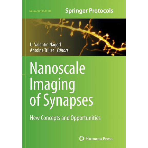 Neuromethods Nanoscale Imaging of Synapses: New Concepts and Opportunities, Book 84, (Paperback)