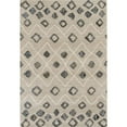 thumbnail image 1 of Amer Rug CAR123556 3 ft. 5 in. x 5 ft. 6 in. Caribe 12 Power-Loomed Area Rug - Beige, 1 of 1