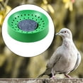 thumbnail image 4 of 10 Uds. Nido de Paloma de plástico, cuencos tipo nido de pájaro, cuenco para nido de Paloma, nido para eclosión de palomas, codornices, eclosión, 4 of 5
