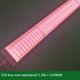 thumbnail image 3 of Lámpara LED de espectro completo T20 para el crecimiento de plantas, resistente al agua, cuatro filas, color suculento, relleno de plántulas de flores UV, terapia de luz en tubo, 3 of 5