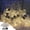 Yellow, variant on Bouanq Christmas String Lights Outdoor,Solar Lights Hanging Vintage Solar Lights Outdoor Waterproof , Solar Patio Decorations Lights for Your Christmas Backyard Balcony Summer Camping