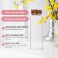 thumbnail image 3 of 10pcs Glass Storage Bottles Transparent Glass Bottles Tea Leaf Snack Bottles, 3 of 8