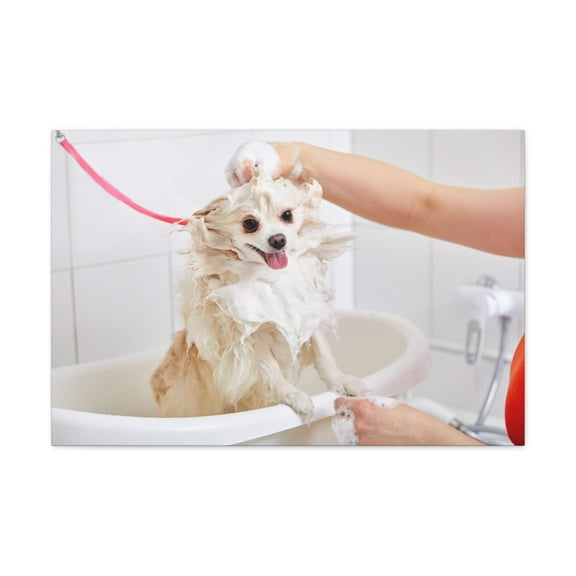 Funny Chihuahua Bathee Canvas Wall Art  for Home Decor Ready-to-Hang