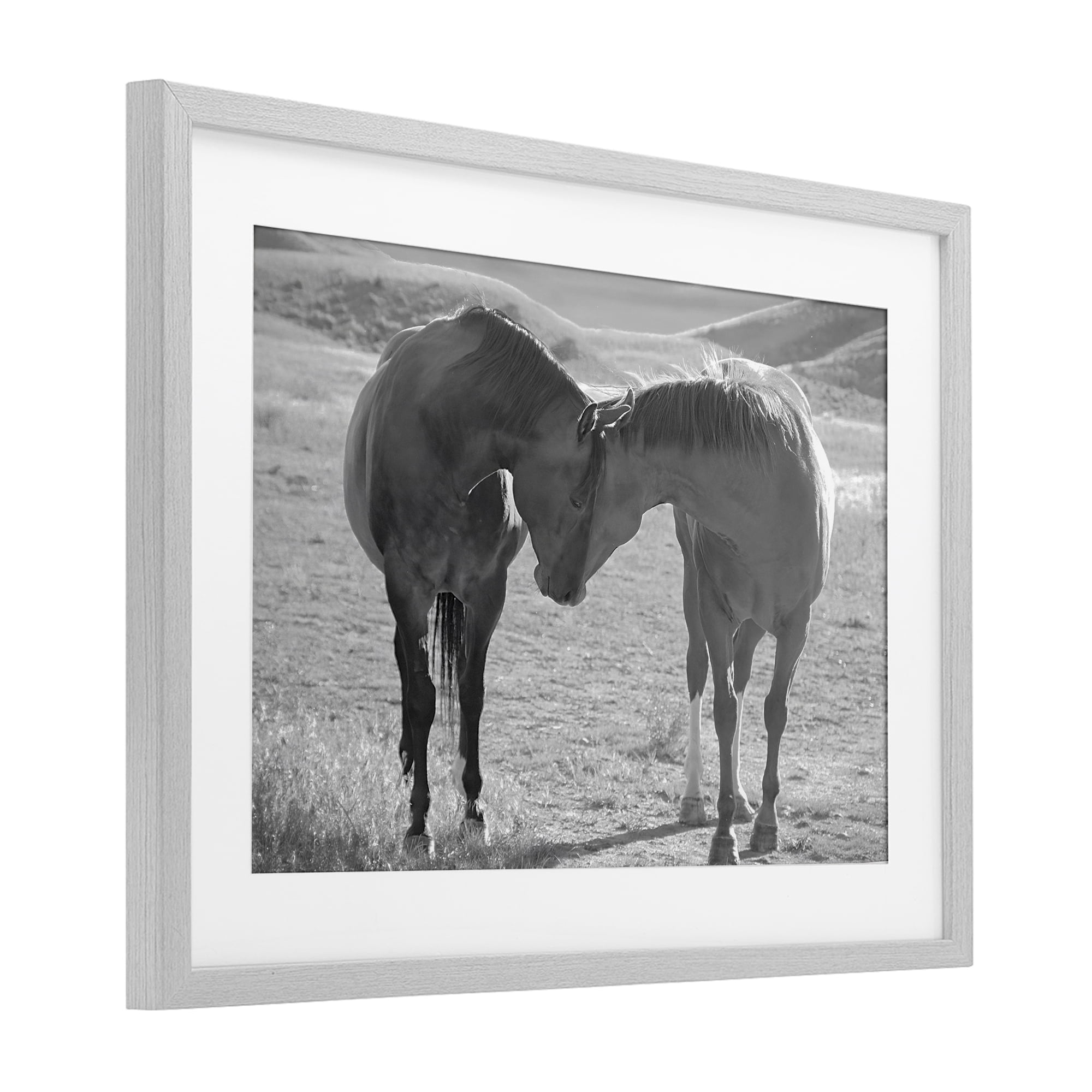 Stupell Industries Sweet Nothings Bond Between Horses Gray Framed Print Under Glass, design by Steve Toole