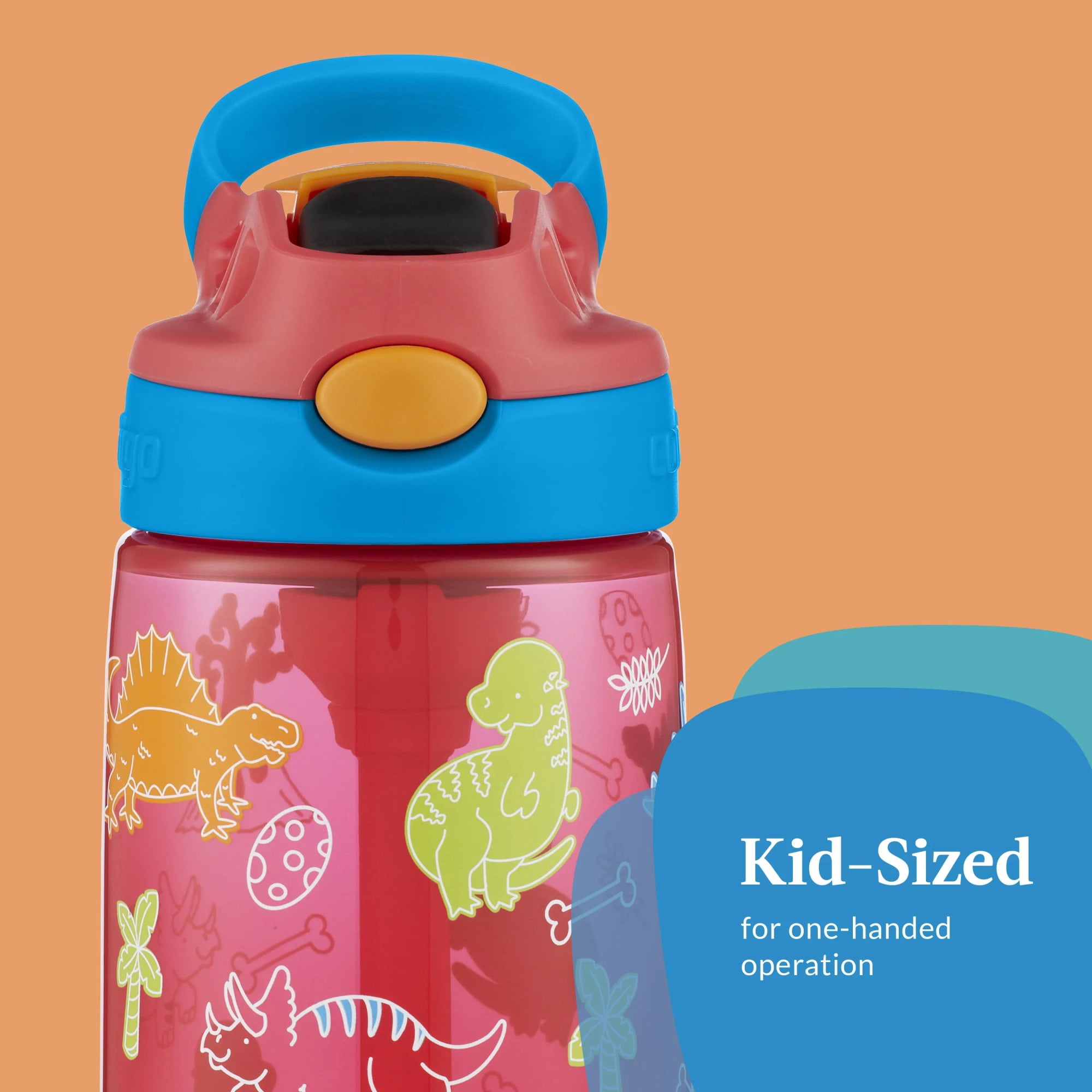 14oz AS Cleanable Watermelon Blue Poppy w/ Lil Dino Heard 6pc PDQ