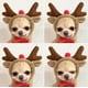 thumbnail image 3 of onlyliua para Interior/Exterior Convertibles En Perros, Gatos, Perros Pequeños y Medianas y Suéteres de Invierno, Ropa de Lana, 3 of 3