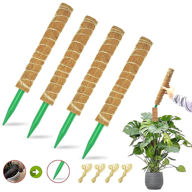 Poste de musgo para plantas Monstera, postes de musgo de 60 pulgadas para plantas trepadoras con poste de plástico, paquete de 4 soportes para plantas de coco de 16 pulgadas para escalar en macet