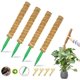 thumbnail image 1 of Poste de musgo para plantas Monstera, postes de musgo de 60 pulgadas para plantas trepadoras con poste de plástico, paquete de 4 soportes para plantas de coco de 16 pulgadas para escalar en macet, 1 of 5