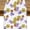 Kitchen-1, variant on Fresh Apple Fruit Table Runner, Black White Buffalo Check Plaid Summer Autumn Fruit Farmhouse Kitchen Dining Table Decoration for Indoor Outdoor Home Party Decor, 13x36inch