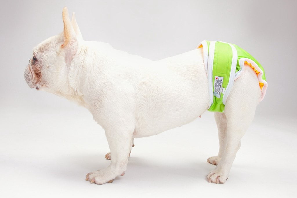 bulldog diapers